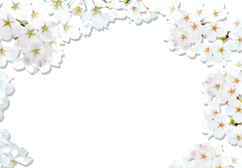 C:\Users\User\Downloads\flowers_ornament_023.png